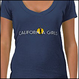Ladies Sheer VNeck Shirt